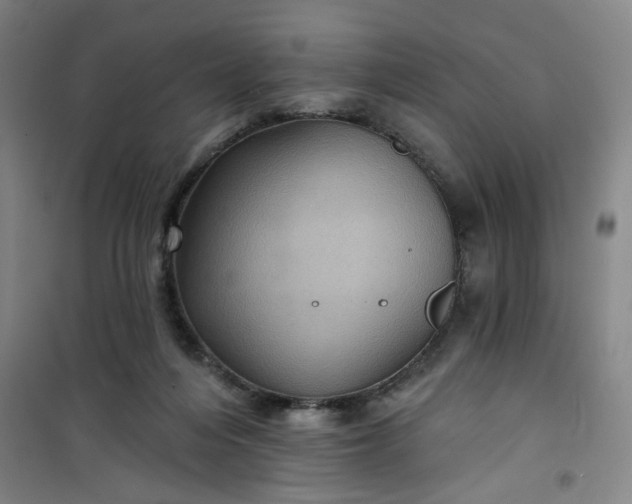 X0000101140216200807110950