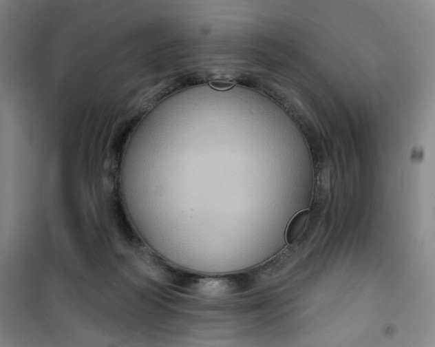 X0000101140218200807110950