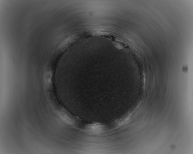 X0000101140219200807110950