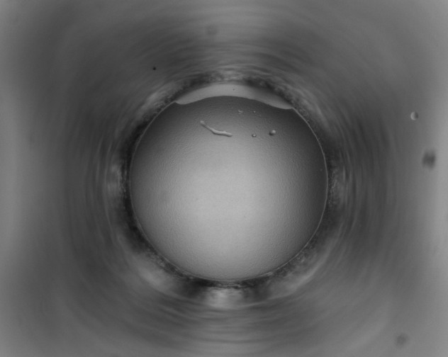 X0000101140220200807110950