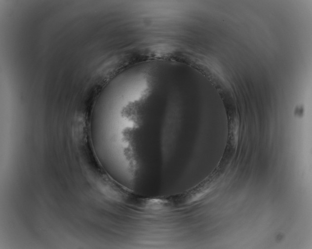 X0000101140222200807110950