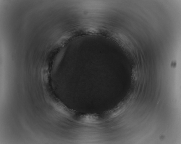 X0000101140223200807110950