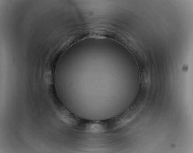 X0000101140224200807110950