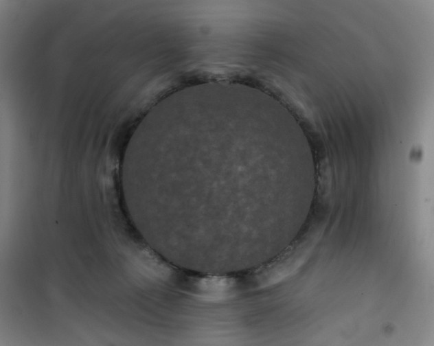 X0000101140225200807110950