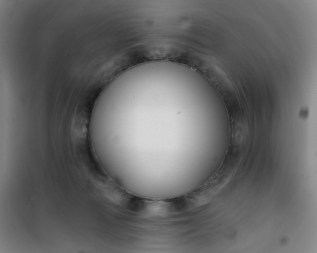 X0000101140226200807110950