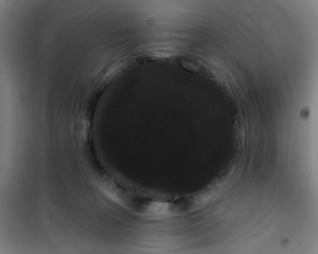 X0000101140227200807110950