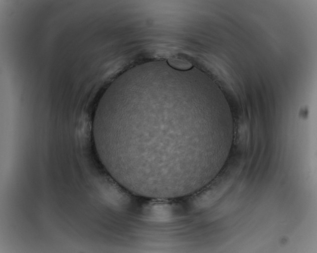 X0000101140228200807110950