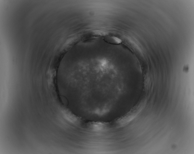 X0000101140229200807110950