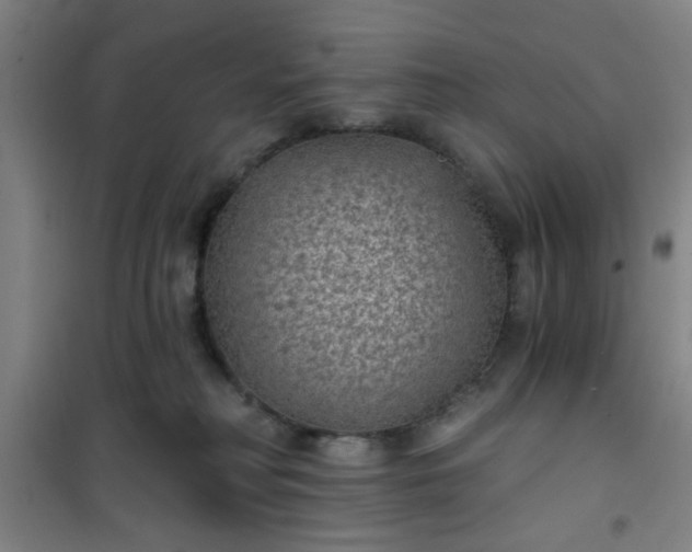 X0000101140230200807110950