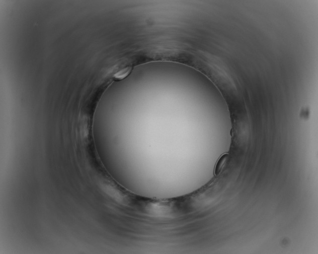 X0000101140232200807110950