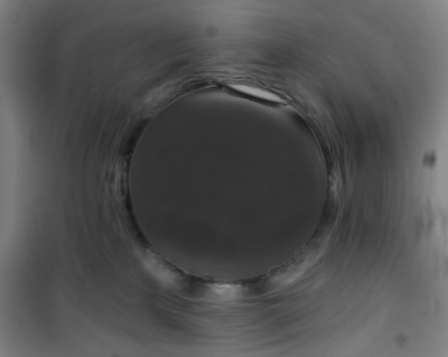 X0000101140233200807110950