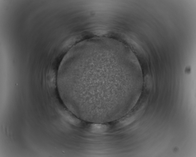 X0000101140234200807110950