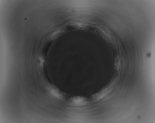 X0000101140235200807110950