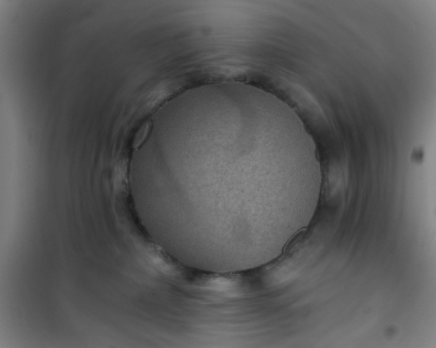 X0000101140236200807110950