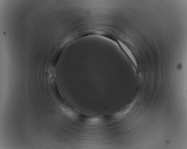 X0000101140237200807110950