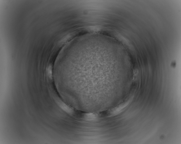 X0000101140238200807110950