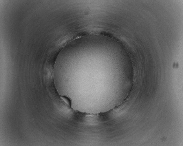 X0000101140240200807110950