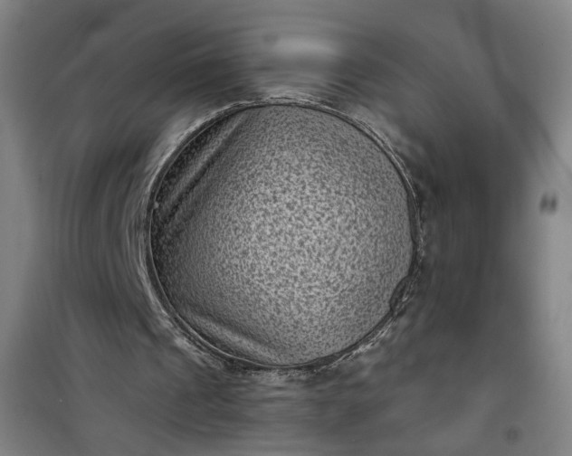 X0000101140241200807110949