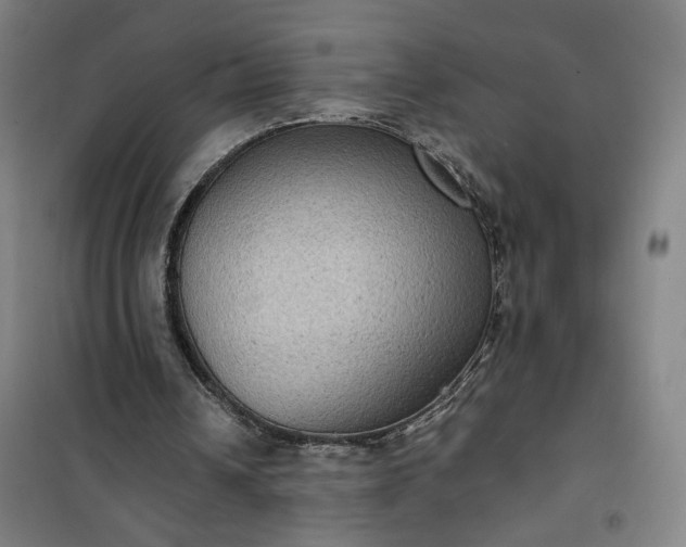 X0000101140242200807110949