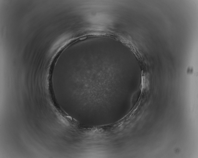 X0000101140243200807110949