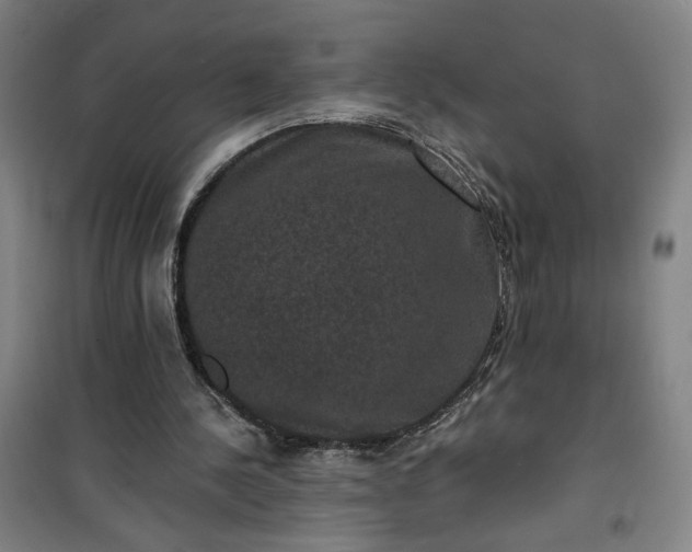 X0000101140244200807110949