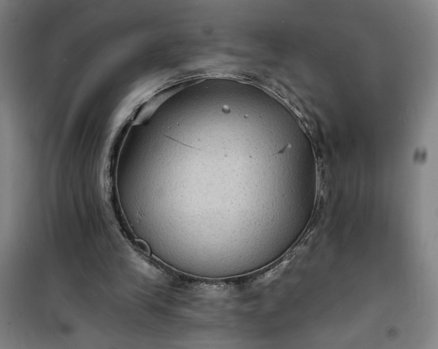 X0000101140245200807110949