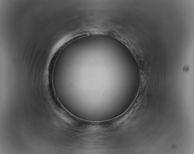 X0000101140246200807110949