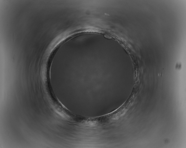 X0000101140247200807110949