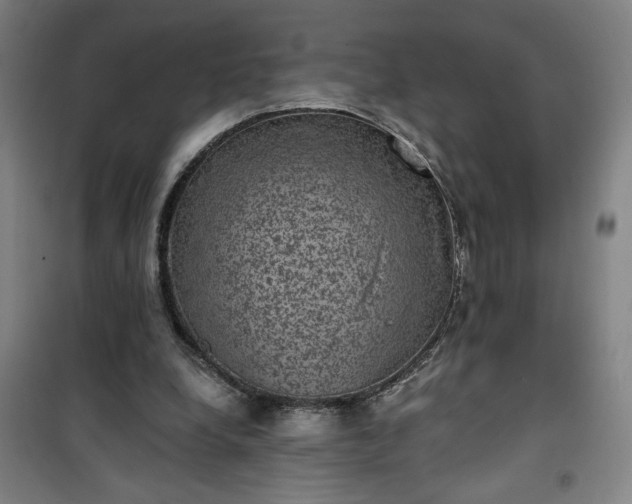 X0000101140248200807110949