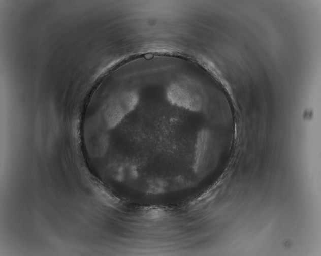 X0000101140249200807110949