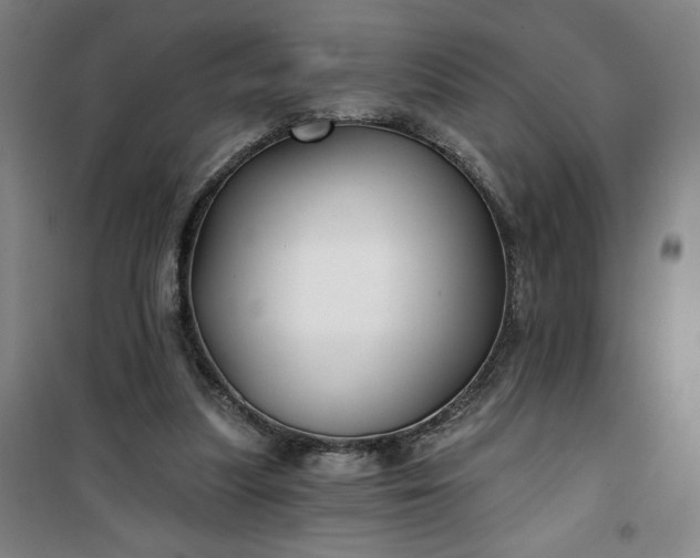 X0000101140251200807110949