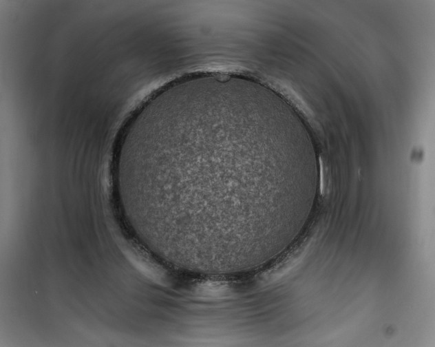 X0000101140252200807110949