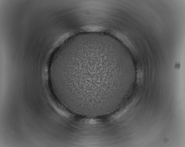 X0000101140254200807110949