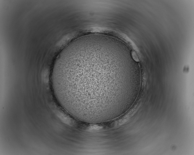 X0000101140257200807110949