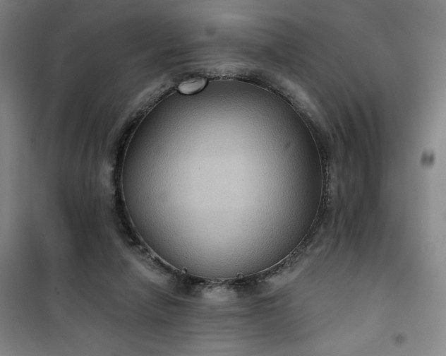 X0000101140258200807110949