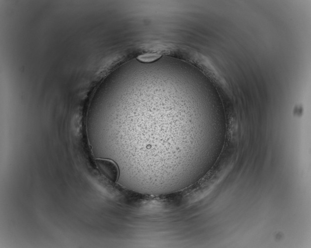 X0000101140259200807110949