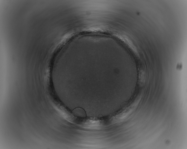 X0000101140260200807110949