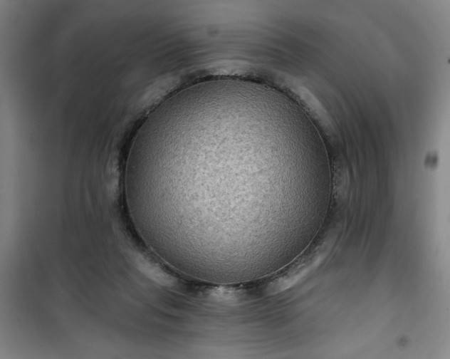 X0000101140261200807110949