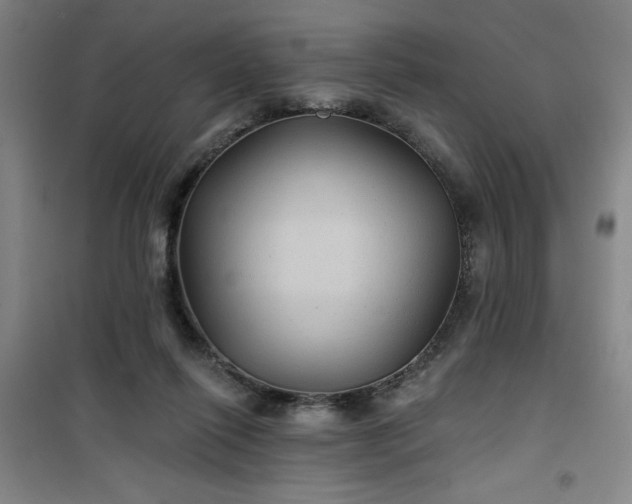 X0000101140262200807110949