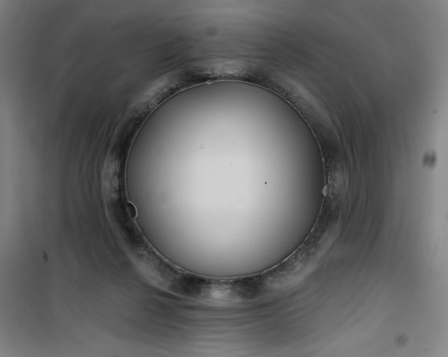 X0000101140264200807110949