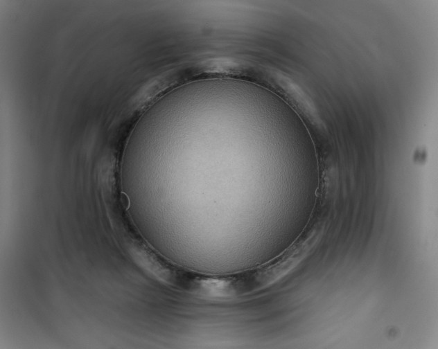 X0000101140265200807110949