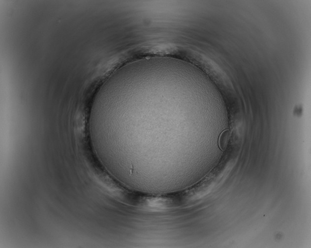 X0000101140268200807110949