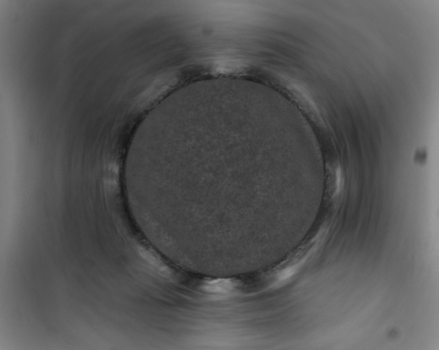 X0000101140269200807110949