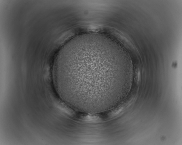 X0000101140270200807110949