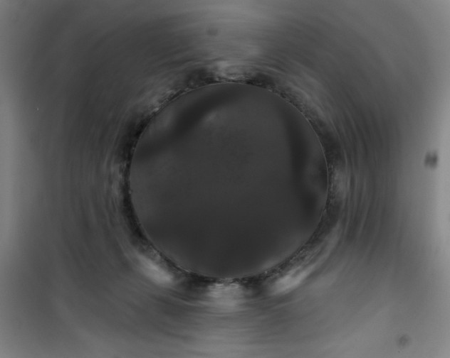 X0000101140271200807110949