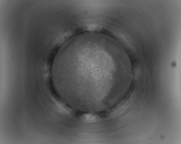 X0000101140272200807110949