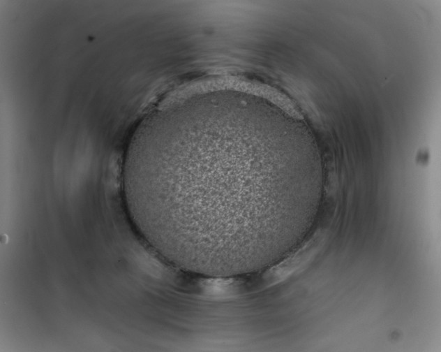 X0000101140273200807110949