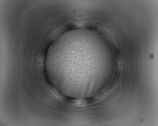 X0000101140275200807110949