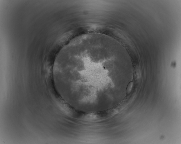 X0000101140276200807110949