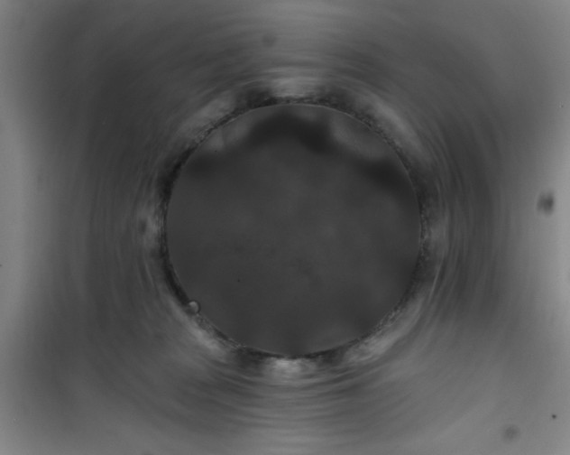 X0000101140277200807110949